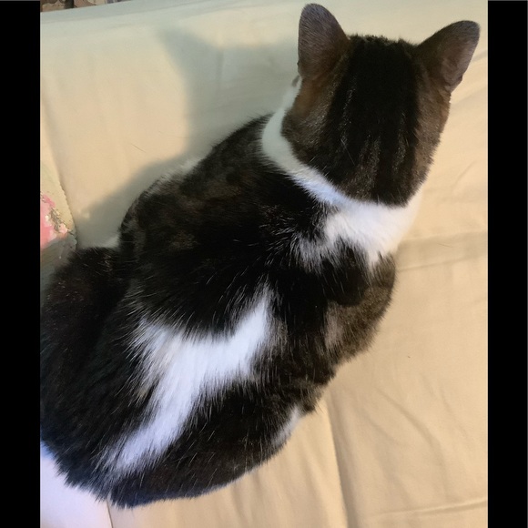 Meet your Posher, Mary Ellen - Picture 2 of 2